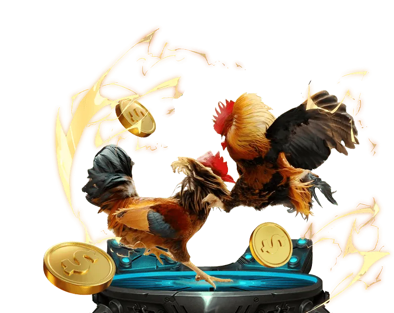 Các loại Cookie mà e2bet sử dụng